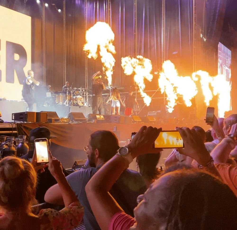 seguridad en eventos fidentia garvesa